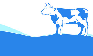 清新蓝色奶牛生鲜牛奶名片蓝色背景